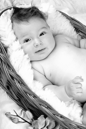 Adorable baby boy in wicker basket, black and white photoの写真素材