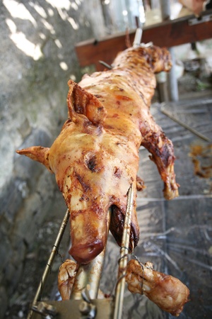 grilled suckling pig, traditional foodの写真素材