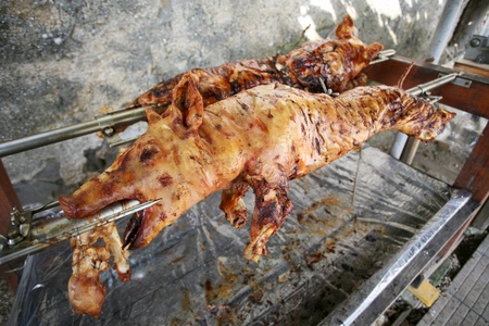 grilled suckling pigs, traditional foodの写真素材