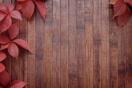 Autumn background of red leaves over wooden deskの写真素材