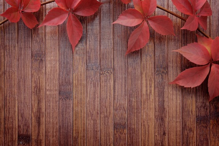Autumn background of red leaves over wooden deskの写真素材