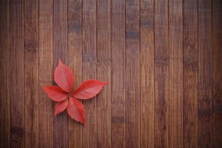 Autumn leaf on wooden backgroundの写真素材