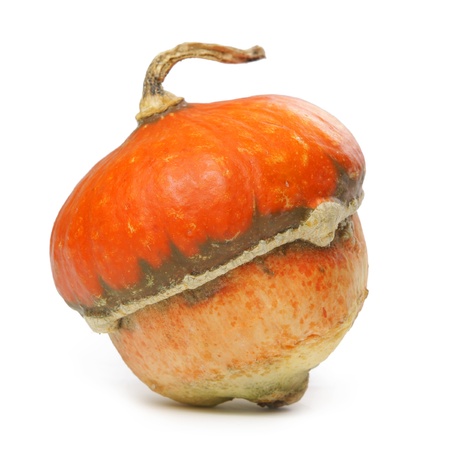 Decorative pumpkin, isolated on whiteの写真素材