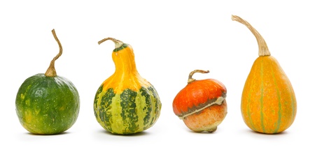 Decorative pumpkins isolated on whiteの写真素材
