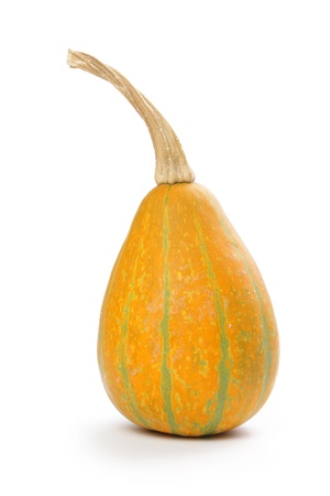 Decorative pumpkin, isolated on whiteの写真素材