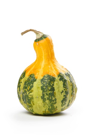Decorative pumpkin, isolated on whiteの写真素材