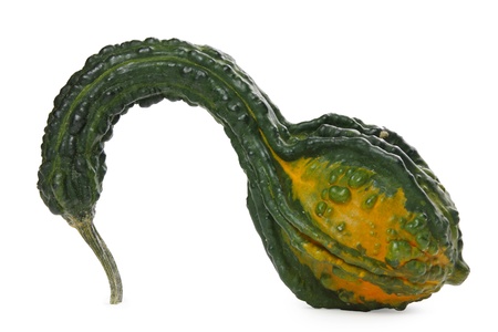 Decorative pumpkin, isolated on whiteの写真素材