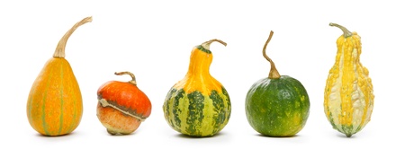 Decorative pumpkins isolated on whiteの写真素材