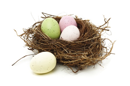Easter eggs in real bird nest isolated on whiteの写真素材