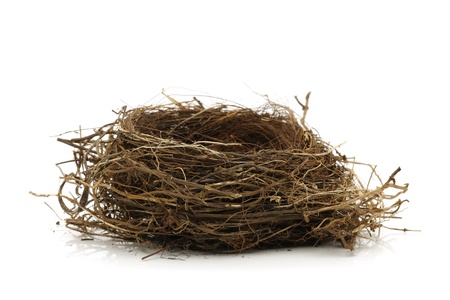 Empty bird nest isolated on whiteの写真素材
