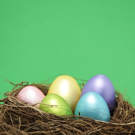 Easter eggs in real bird nest with copy spaceの写真素材