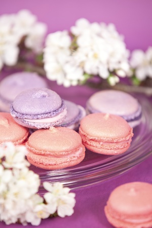 Purple french macaroons with cherry branchの写真素材