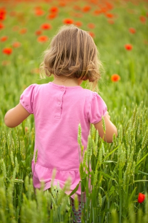 Little girl in beautiful poppy fieldの写真素材