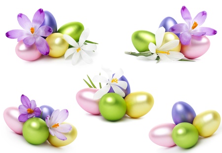 Easter eggs with crocus flower isolated on whiteの写真素材