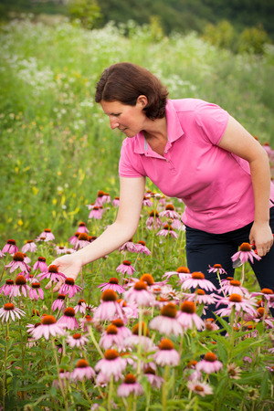 Real farmer woman in coneflower fieldの写真素材