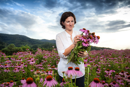 Real farmer woman in coneflower fieldの写真素材