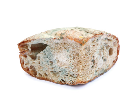 Moldy bread isolated on whiteの写真素材