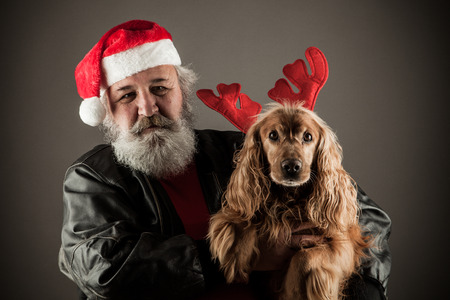 Santa Claus  with his dog as Rudolph the Reindeerの写真素材