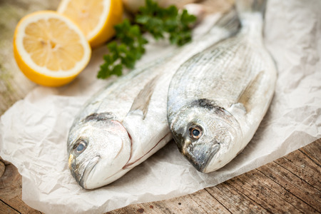 fresh gilt-head sea bream fish with ingredientsの写真素材