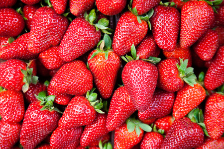 Lots of strawberies as background or wallpaperの写真素材