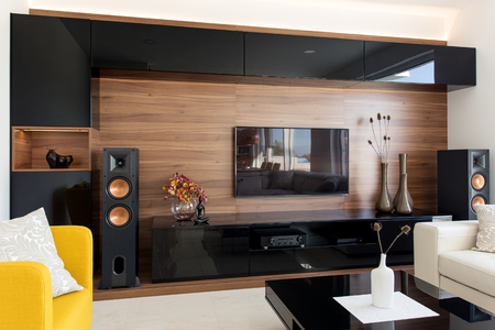 Elegant living room with black and oak cabinetsの写真素材