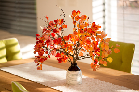 Smoke tree branches on the dinning tableの写真素材