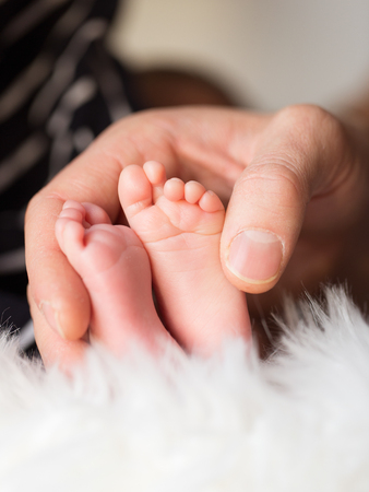 Close up of baby feet in warm blanketの写真素材