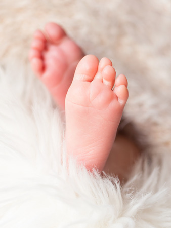Close up of baby feet in warm blanketの写真素材