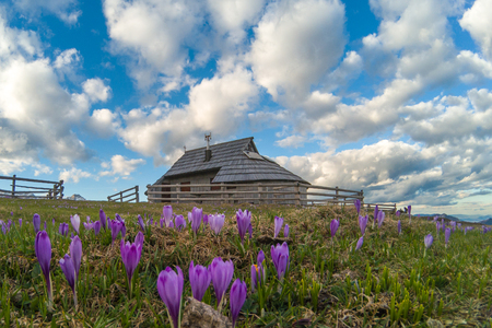 Village of cottages in Velika planina, Slovenijaの写真素材