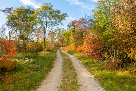 Idyllic path in in Autumn,  slovenian Karstの写真素材