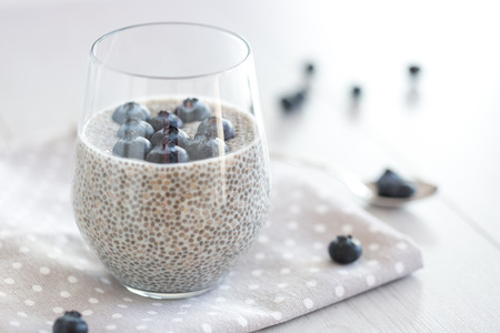 Chia pudding with blueberriesの写真素材