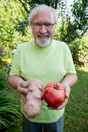 Happy elderly man with potato and tomato in his backyardの写真素材
