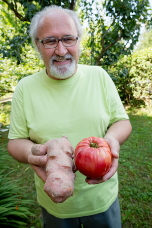 Happy elderly man with potato and tomato in his backyardの写真素材