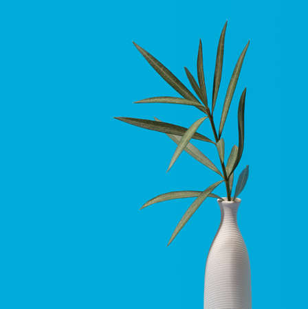 Green oleander branch in white vase over blue backgroundの写真素材