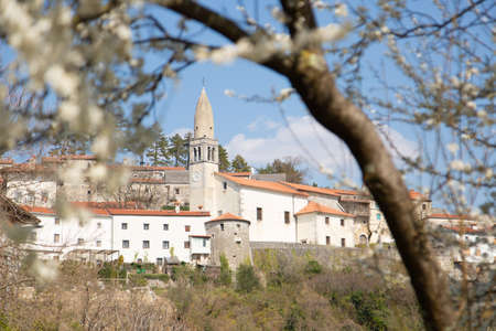 Lovely village Stanjel in slovenian Karst in early springの写真素材