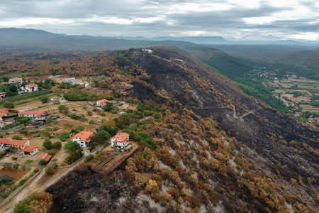 Sela na krasu, Slovenia - July 30th 2022: Burnt slopes near the village of Sela na Krasu after the biggest summer wildfire in Karst region in Slovenian historyの写真素材