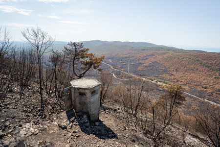 Burned landscape after big summer wildfires in Karst region in Sloveniaの写真素材