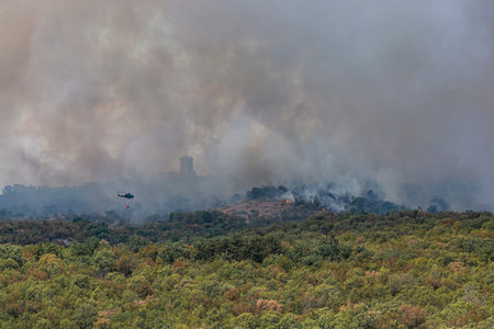Wildfire in slovenian Karst with strong wind and droughtの写真素材