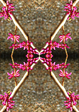 Pink buds kaleidoscopeの写真素材
