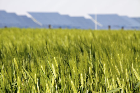 solar plant taking advantage of our most valued resource