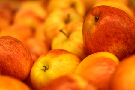 Close-up of red fresh applesの写真素材