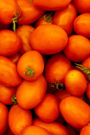 Close-up of fresh red tomatoesの写真素材