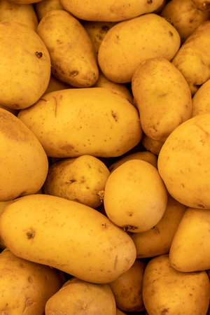 Close-up of fresh brown potatoesの写真素材