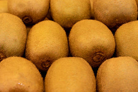 closeup of fresh brown walnutsの写真素材