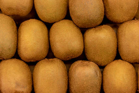 closeup of fresh brown walnutsの写真素材