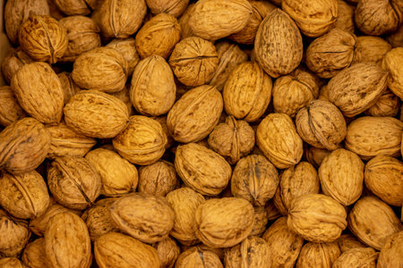 closeup of fresh brown walnutsの写真素材