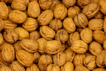 closeup of fresh brown walnutsの写真素材