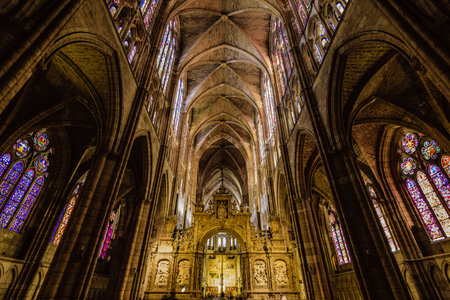 Vault inside the gothic cathedral of Leon.のeditorial素材