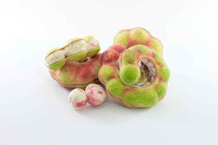 Pithecellobium dulce isolated on the white backgroundの写真素材