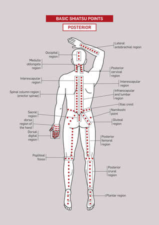 Basic Shiatsu acupressure Points. Male body.のイラスト素材